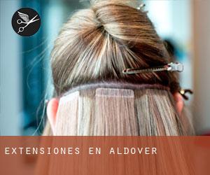 Extensiones en Aldover