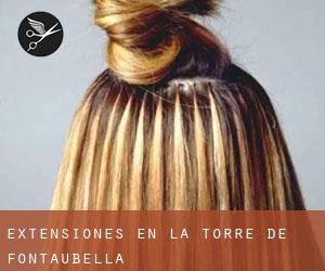 Extensiones en la Torre de Fontaubella