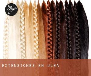 Extensiones en Ulea