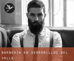 Barbería en Serranillos del Valle